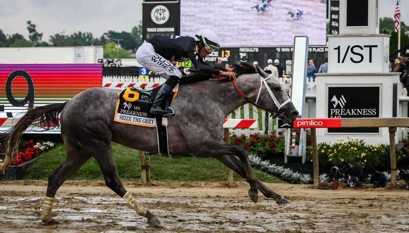 Who Won the Preakness 2024